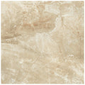 American Olean Danya 18" x 18"-Ceramic Tile-American Olean-Cove-18" x 18"-State Tile