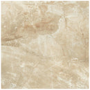 American Olean Danya 18" x 18"-Ceramic Tile-American Olean-Cove-18" x 18"-State Tile