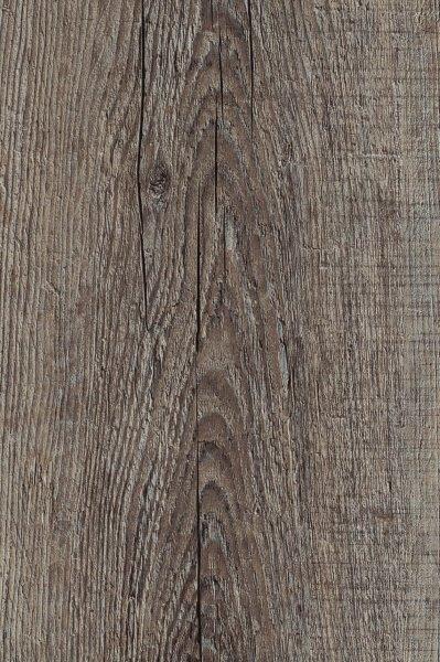 Forest Accents Eloquence 7" x 48"-Vinyl Plank-Forest Accents-Sand Oak-7" x 48"-State Tile
