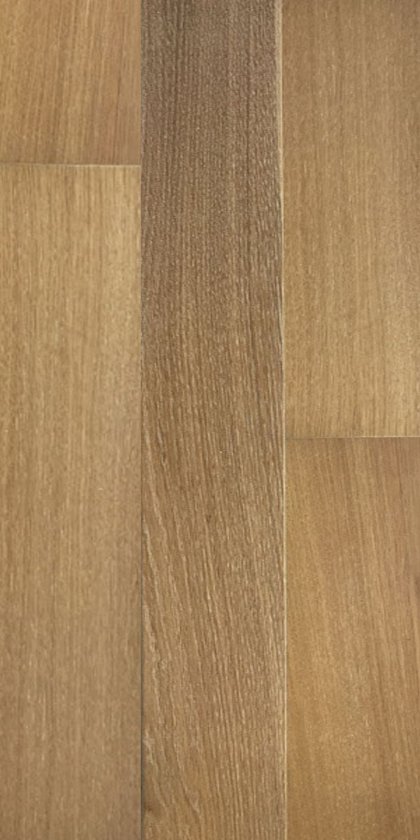 Forest Accents Imperma Wood 6" x RL-Hardwood Plank-Forest Accents-Montana Oak-6" x RL-State Tile