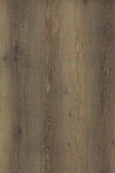 Forest Accents Eloquence 7" x 48"-Vinyl Plank-Forest Accents-Canyon Oak-7" x 48"-State Tile