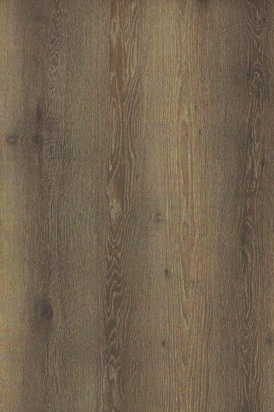 Forest Accents Eloquence 7" x 48"-Vinyl Plank-Forest Accents-Canyon Oak-7" x 48"-State Tile