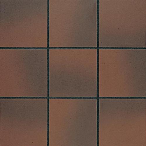 American Olean Quarry Naturals 6" x 6"-Quarry Tile-American Olean-Fire Flash-6" x 6"-State Tile