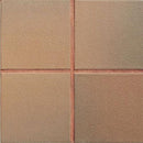 Daltile Quarry Textures 6" x 6"-Quarry Tile-Daltile-Adobe Flash-6" x 6"-State Tile