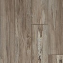 Mannington Adura Apex Spalted Wych Elm 8" x 72"