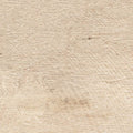 Panaria Ceramica Wood Trend 8" x 36"-Porcelain Tile-Panaria Ceramica-Birch-8" x 36"-State Tile