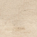 Panaria Ceramica Wood Trend 8" x 36"-Porcelain Tile-Panaria Ceramica-Birch-8" x 36"-State Tile