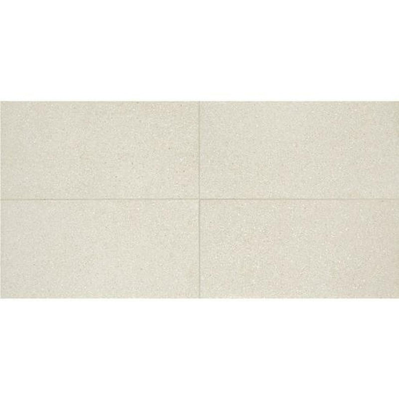 American Olean Neospeck 12" x 24"-Porcelain Tile-American Olean-White Light Polished-12" x 24"-State Tile