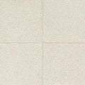 American Olean Neospeck 24" x 24"-Porcelain Tile-American Olean-White Light Polished-24" x 24"-State Tile