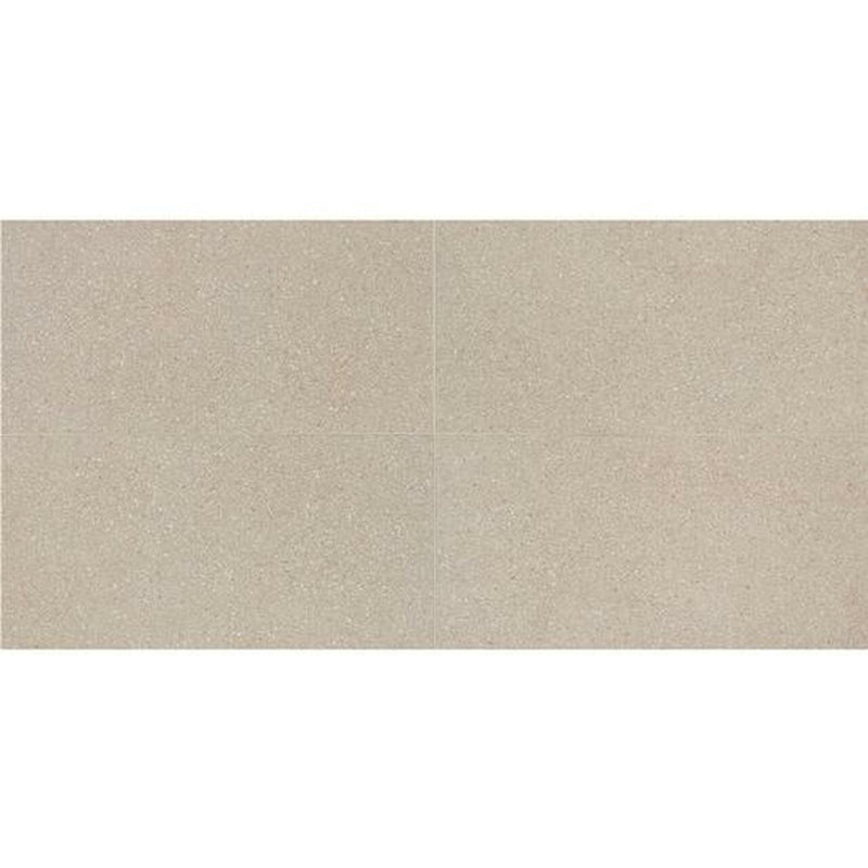 American Olean Neospeck 12" x 24"-Porcelain Tile-American Olean-Beige Light Polished-12" x 24"-State Tile