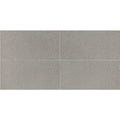 American Olean Neospeck 12" x 24"-Porcelain Tile-American Olean-Light Gray Light Polished-12" x 24"-State Tile