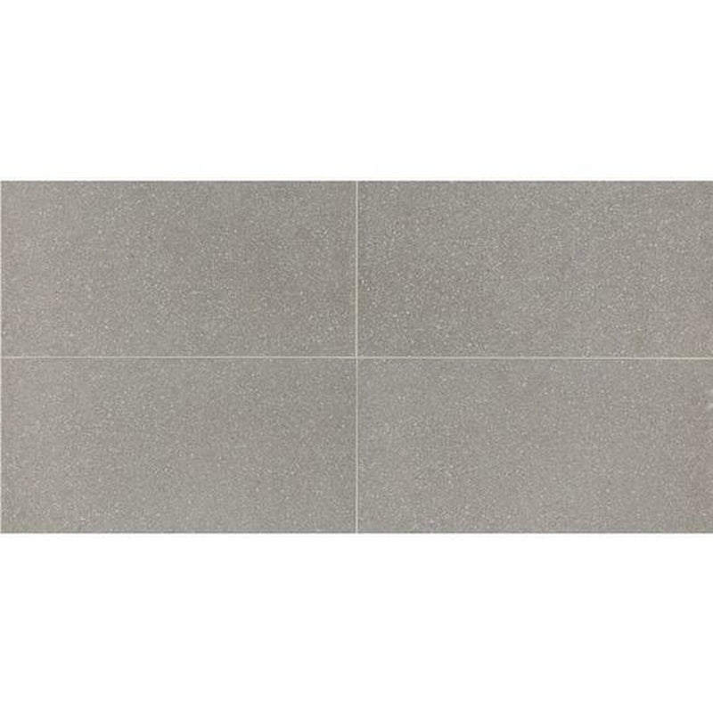 American Olean Neospeck 12" x 24"-Porcelain Tile-American Olean-Light Gray Light Polished-12" x 24"-State Tile
