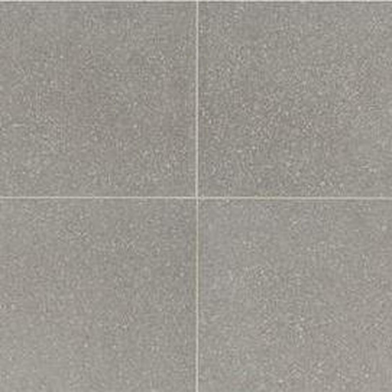 American Olean Neospeck 24" x 24"-Porcelain Tile-American Olean-Light Gray Light Polished-24" x 24"-State Tile