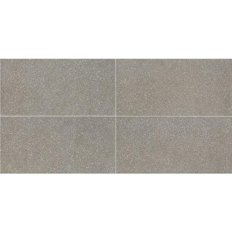American Olean Neospeck 12" x 24"-Porcelain Tile-American Olean-Medium Gray Light Polished-12" x 24"-State Tile