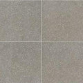 American Olean Neospeck 24" x 24"-Porcelain Tile-American Olean-Medium Gray Light Polished-24" x 24"-State Tile