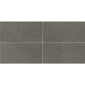 American Olean Neospeck 12" x 24"-Porcelain Tile-American Olean-Dark Gray Light Polished-12" x 24"-State Tile