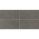 American Olean Neospeck 12" x 24"-Porcelain Tile-American Olean-Dark Gray Light Polished-12" x 24"-State Tile