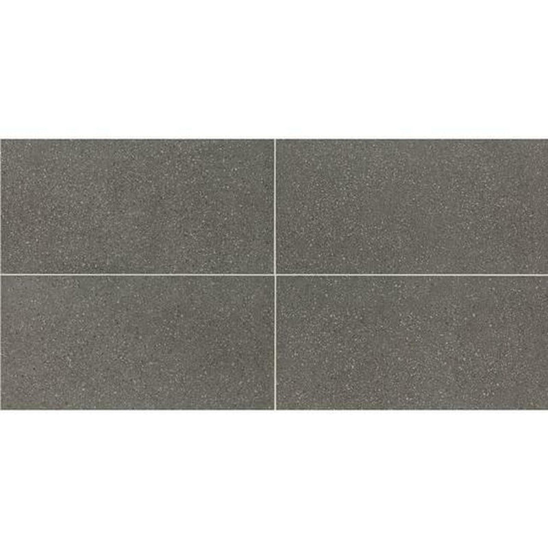American Olean Neospeck 12" x 24"-Porcelain Tile-American Olean-Dark Gray Light Polished-12" x 24"-State Tile