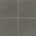 American Olean Neospeck 24" x 24"-Porcelain Tile-American Olean-Dark Gray Light Polished-24" x 24"-State Tile