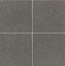 American Olean Neospeck 24" x 24"-Porcelain Tile-American Olean-Dark Gray Light Polished-24" x 24"-State Tile