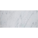 Soho Studio Asian Statuary 12" x 24"