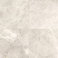 Daltile Limestone 12" x 12"-Limestone Tile-Daltile-Arctic Gray Polished Tile-12" x 12"-State Tile