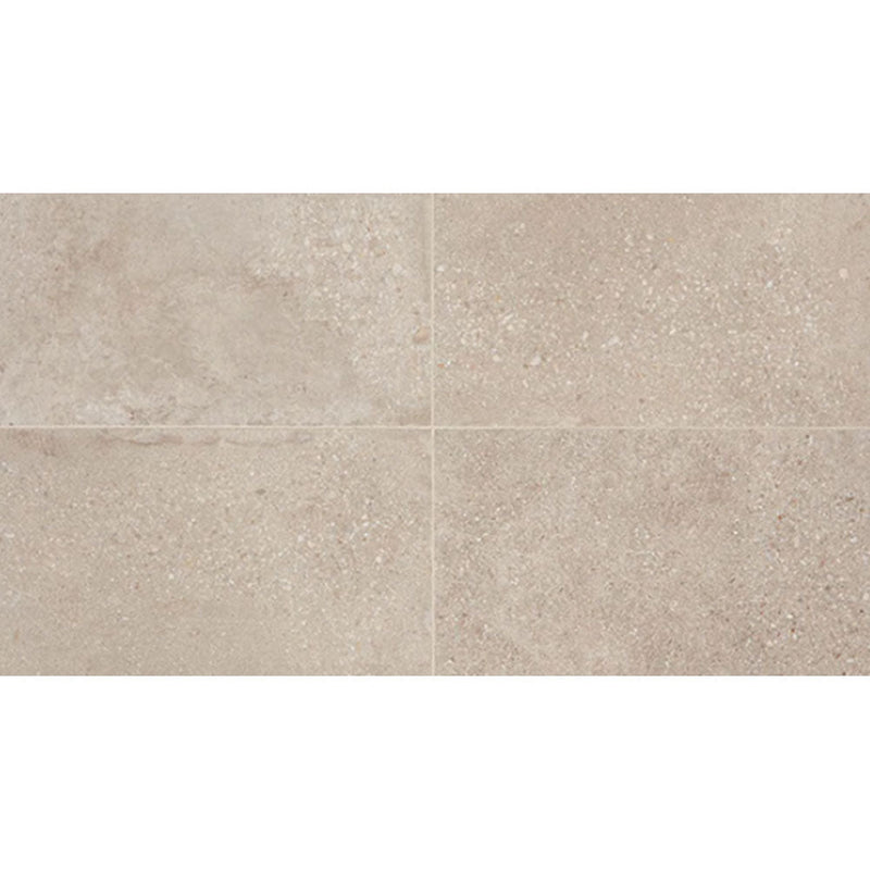 Daltile Museo 24" x 48"-Porcelain Tile-Daltile-Artistic Grey-24" x 48"-State Tile