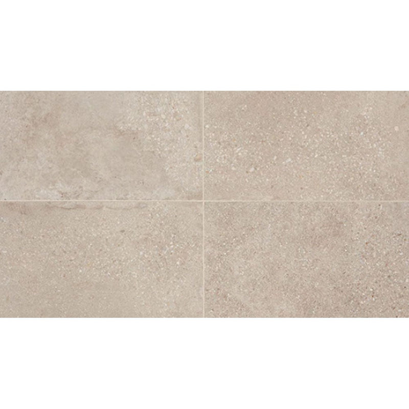Daltile Museo 12" x 24"-Porcelain Tile-Daltile-Artistic Grey-12" x 24"-State Tile
