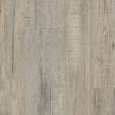 Happy Feet International Rescue  7.2" x 48"-Vinyl Plank-Happy Feet International-Aspen-7.2" x 48"-State Tile