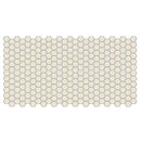 American Olean Unglazed Mosaic 1" Hex 12" x 24"-Porcelain Mosaic-American Olean-Biscuit-12" x 24"-State Tile