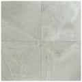 Atlantic Stone Source Marble Tiles 1/2" 24" x 24"-Marble Tile-Atlantic Stone Source-Botticino Antique-24" x 24"-State Tile