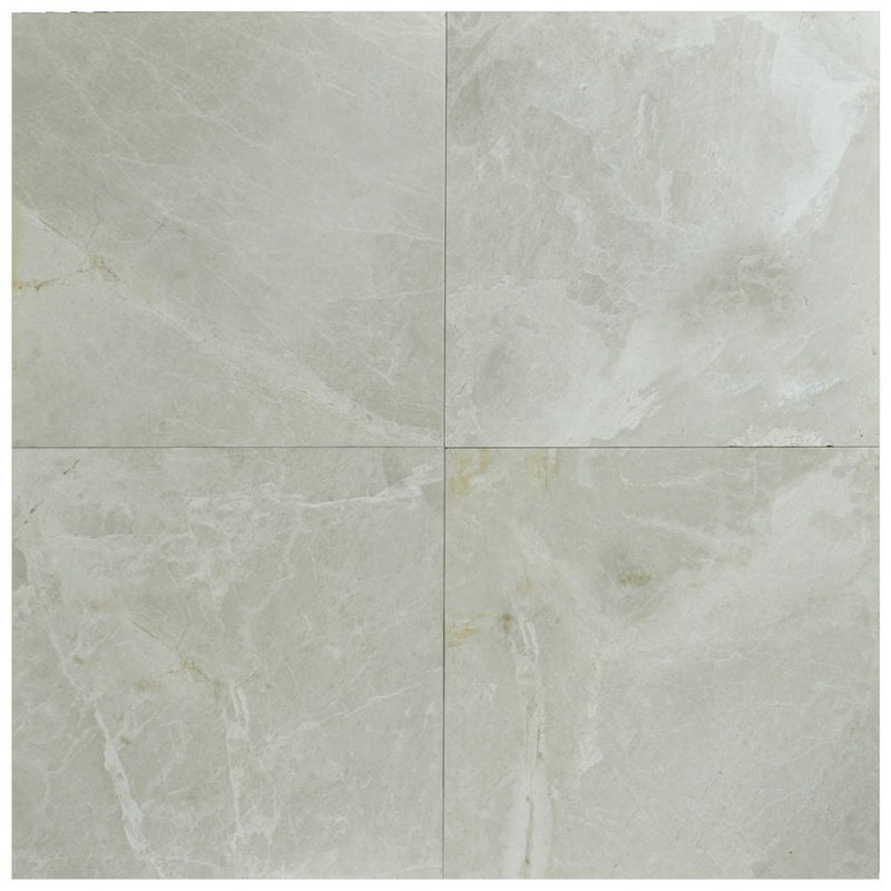 Atlantic Stone Source Marble Tiles 1/2" 24" x 24"-Marble Tile-Atlantic Stone Source-Botticino Antique-24" x 24"-State Tile