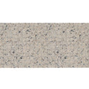 American Olean Unglazed Mosaic 1 x 1 12" x 24"-Porcelain Mosaic-American Olean-Buff Granite-12" x 24"-State Tile