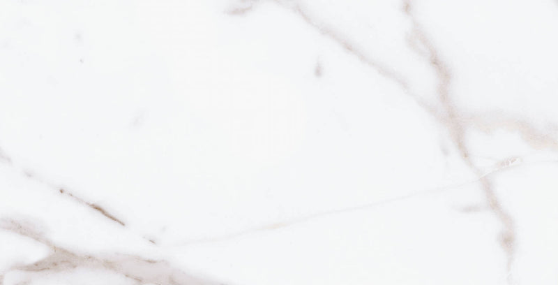 Alfagres Calacata 12" x 24"-Ceramic Tile-Alfagres-Grey-12" x 24"-State Tile