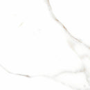 Alfagres Calacata 12" x 12"-Ceramic Tile-Alfagres-Grey-12" x 12"-State Tile