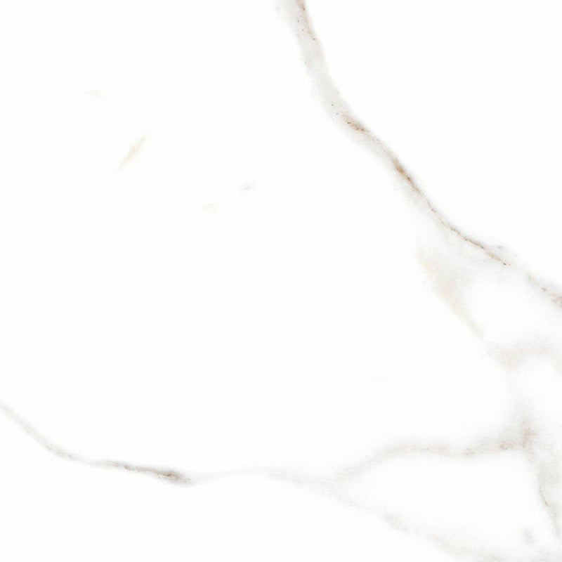 Alfagres Calacata 12" x 12"-Ceramic Tile-Alfagres-Grey-12" x 12"-State Tile