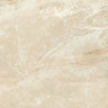 American Olean Danya 12" x 24"-Ceramic Tile-American Olean-Cove-12" x 24"-State Tile
