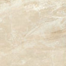 American Olean Danya 12" x 24"-Ceramic Tile-American Olean-Cove-12" x 24"-State Tile