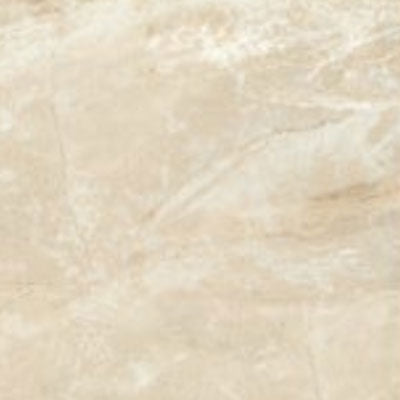 American Olean Danya 12" x 24"-Ceramic Tile-American Olean-Cove-12" x 24"-State Tile