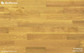Ua Floors Classics Series 5.50" x RL-Hardwood Plank-Ua Floors-Gleaners Euro Oak-5.50" x RL-State Tile