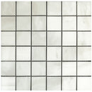 Atlantic Stone Source Mosaic Tiles 2 x 2 12" x 12"-Marble Mosaic-Atlantic Stone Source-Everest White Dolomite Marble-12" x 12"-State Tile