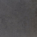 Daltile Dignitary 12" x 24"-Porcelain Tile-Daltile-Governor Black Polished-12" x 24"-State Tile