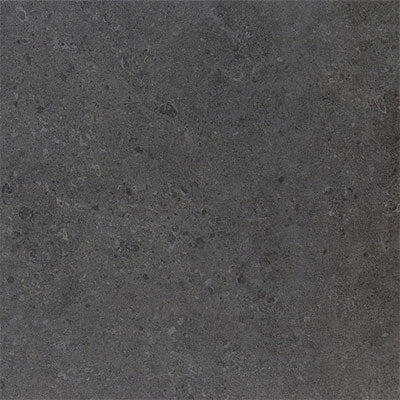 Daltile Dignitary 12" x 24"-Porcelain Tile-Daltile-Governor Black Polished-12" x 24"-State Tile
