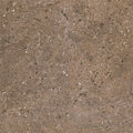Daltile Dignitary 12" x 24"-Porcelain Tile-Daltile-Herald Brown Polished-12" x 24"-State Tile