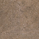 Daltile Dignitary 12" x 24"-Porcelain Tile-Daltile-Herald Brown Polished-12" x 24"-State Tile
