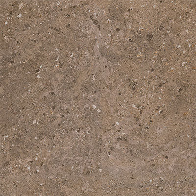 Daltile Dignitary 12" x 24"-Porcelain Tile-Daltile-Herald Brown Polished-12" x 24"-State Tile