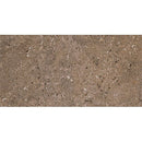 Daltile Dignitary 24" x 48"-Porcelain Tile-Daltile-Herald Brown-24" x 48"-State Tile