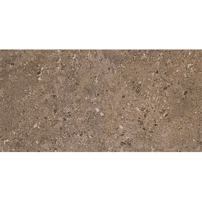 Daltile Dignitary 24" x 48"-Porcelain Tile-Daltile-Herald Brown-24" x 48"-State Tile