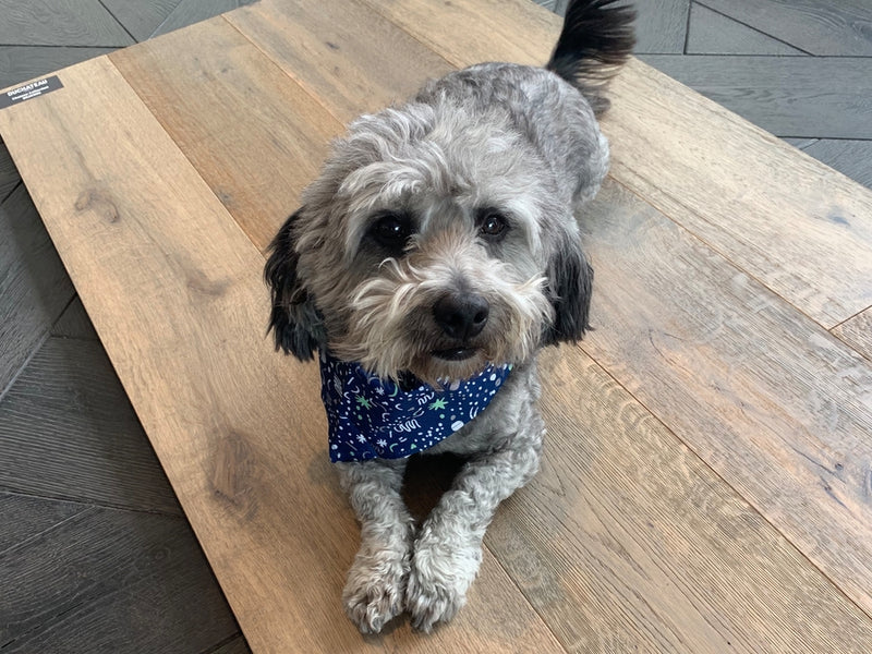 Duchateau Chateau 7.50" x 74.81"