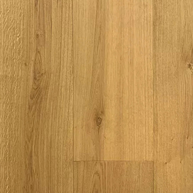 Bella Citta 9 Series Symphony 9.5" x RL-Hardwood Plank-Bella Citta-Legato-9.5" x RL-State Tile